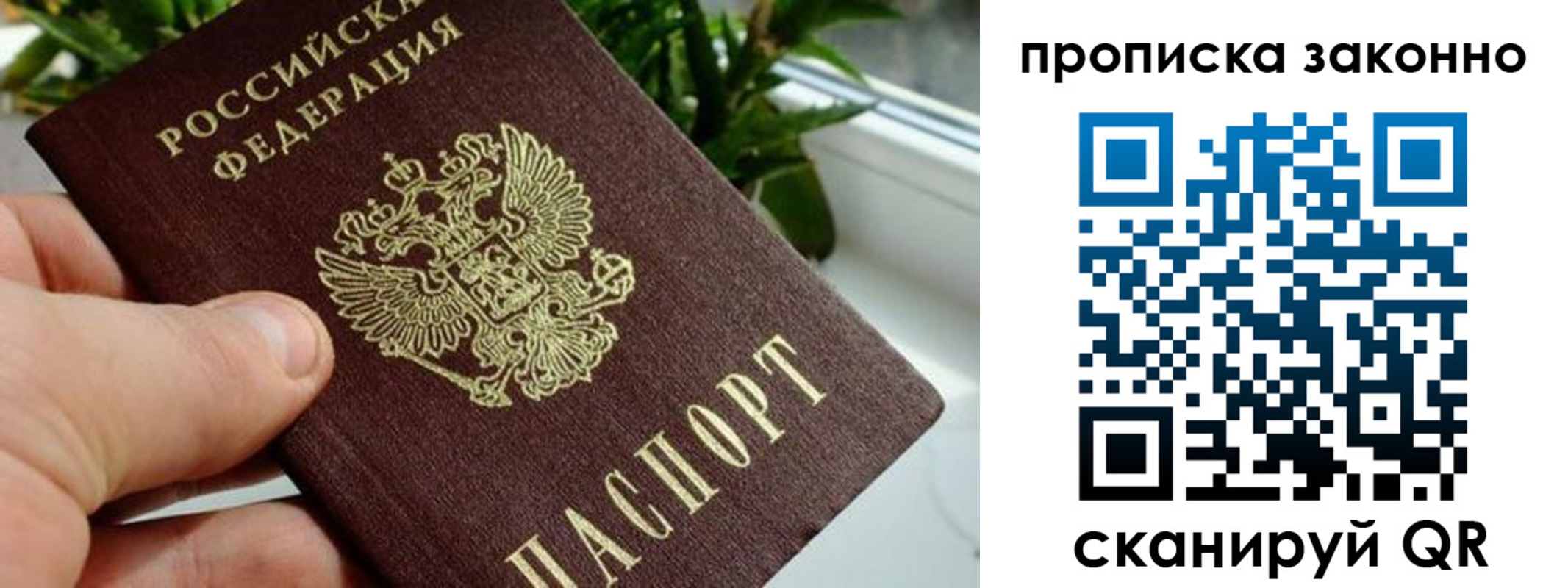 прописка гарантия в Беслане